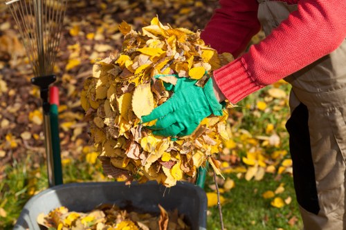 Eco-friendly garden clearance equipment in use